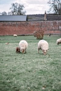 A Photo Guide To Calke Abbey - Derbyshire, England