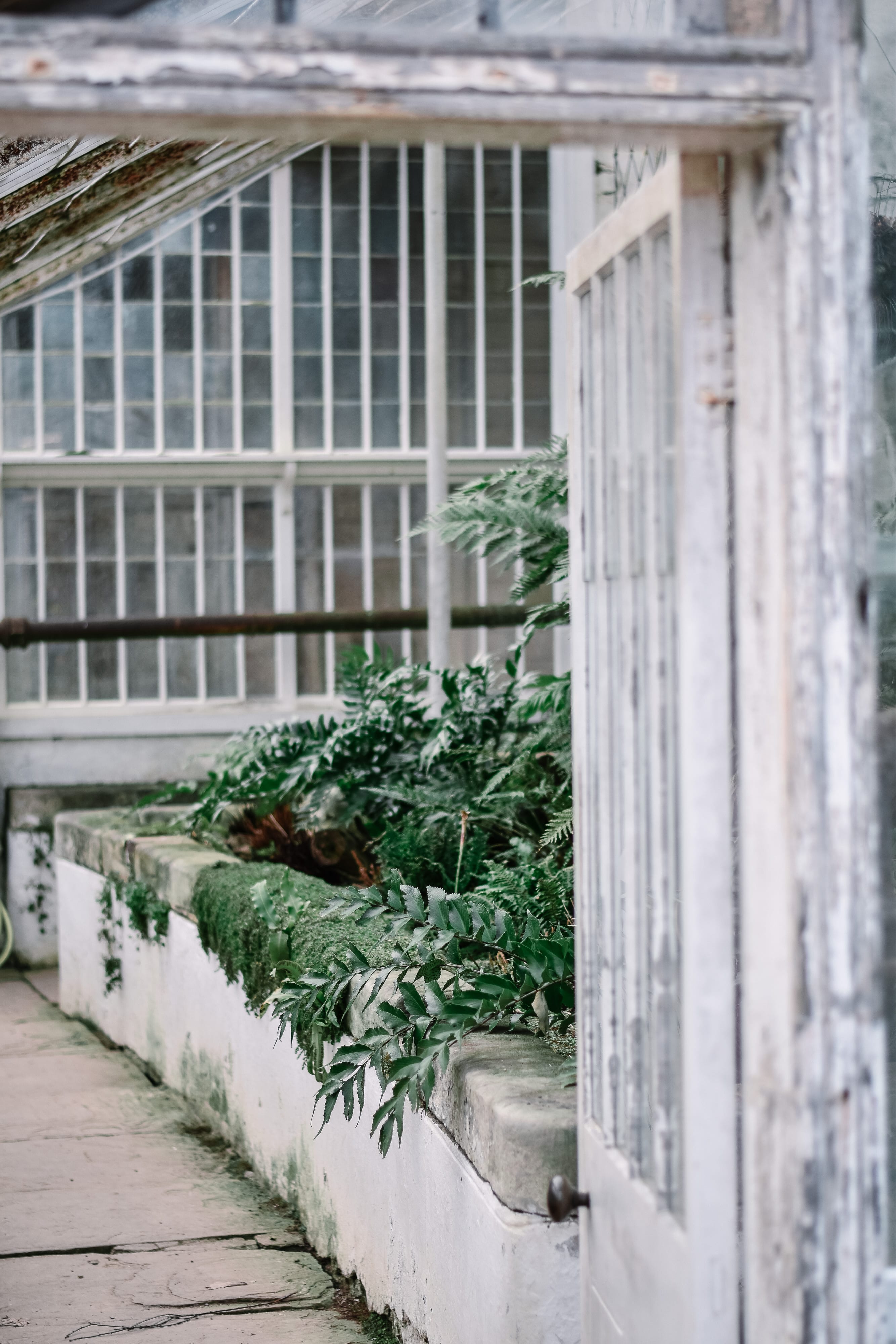 A Photo Guide To Calke Abbey - Derbyshire, England