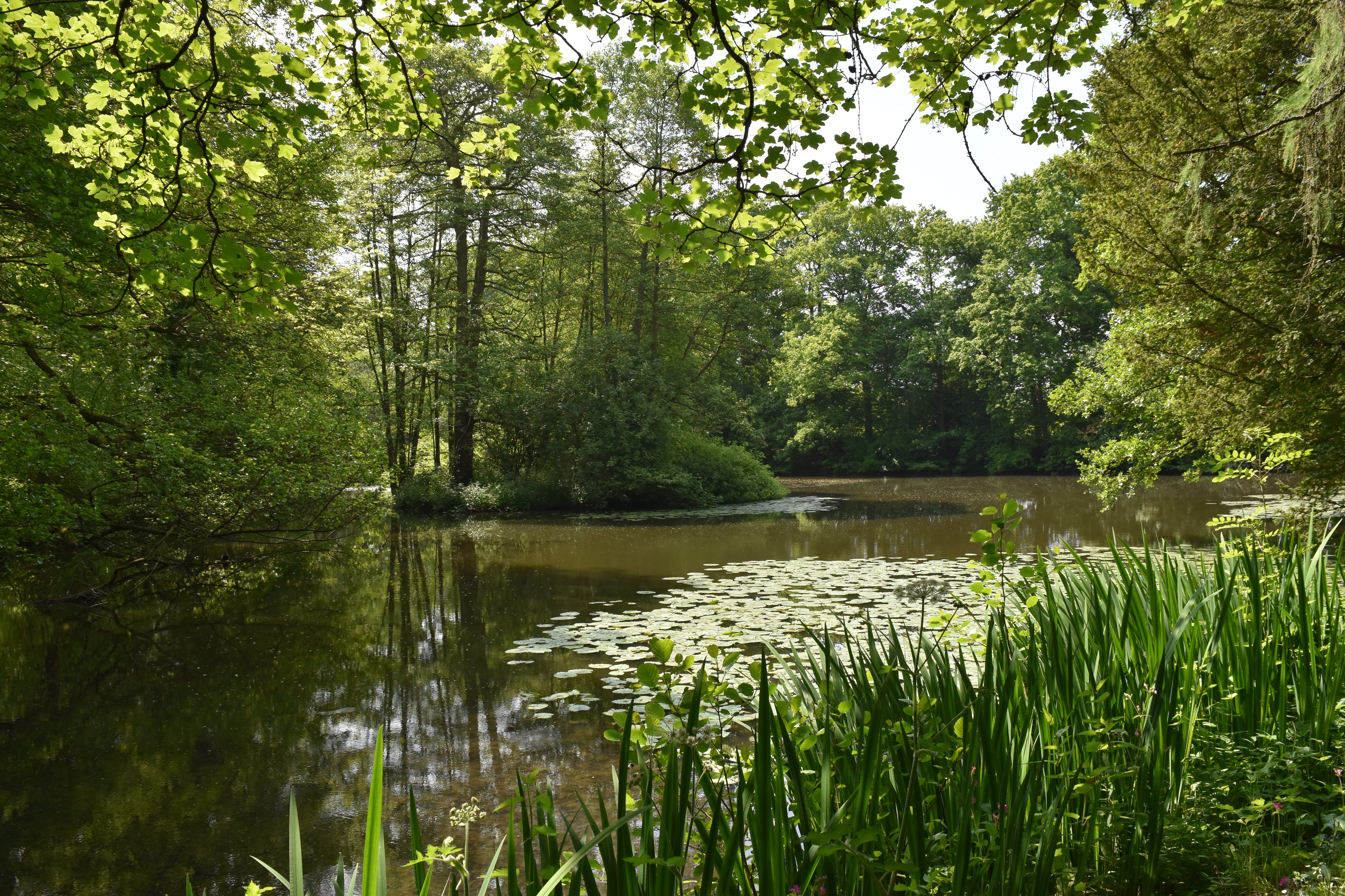 Baddesley Clinton 19
