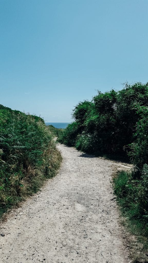 A coastal path to Porthcurno Beach, Cornwall