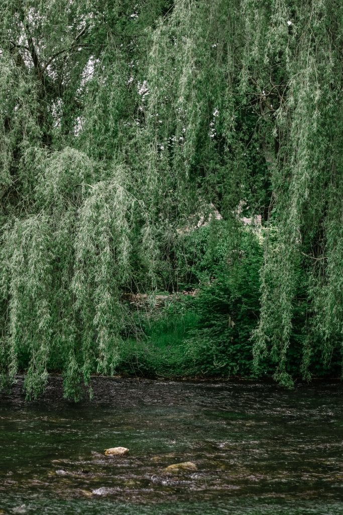 Ashford-In-The-Water: A Quick Guide To The Prettiest Village in The Peak District - Derbyshire