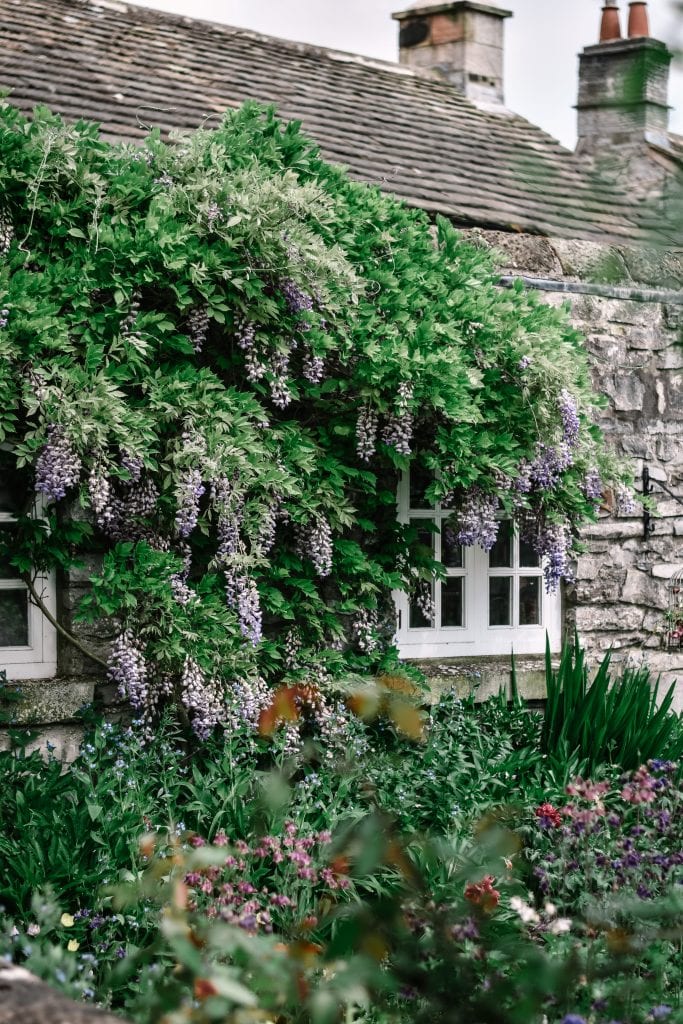 Ashford-In-The-Water: A Quick Guide To The Prettiest Village in The Peak District - Derbyshire