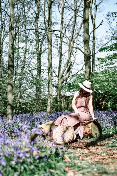 The Best Bluebell Woods In Derbyshire