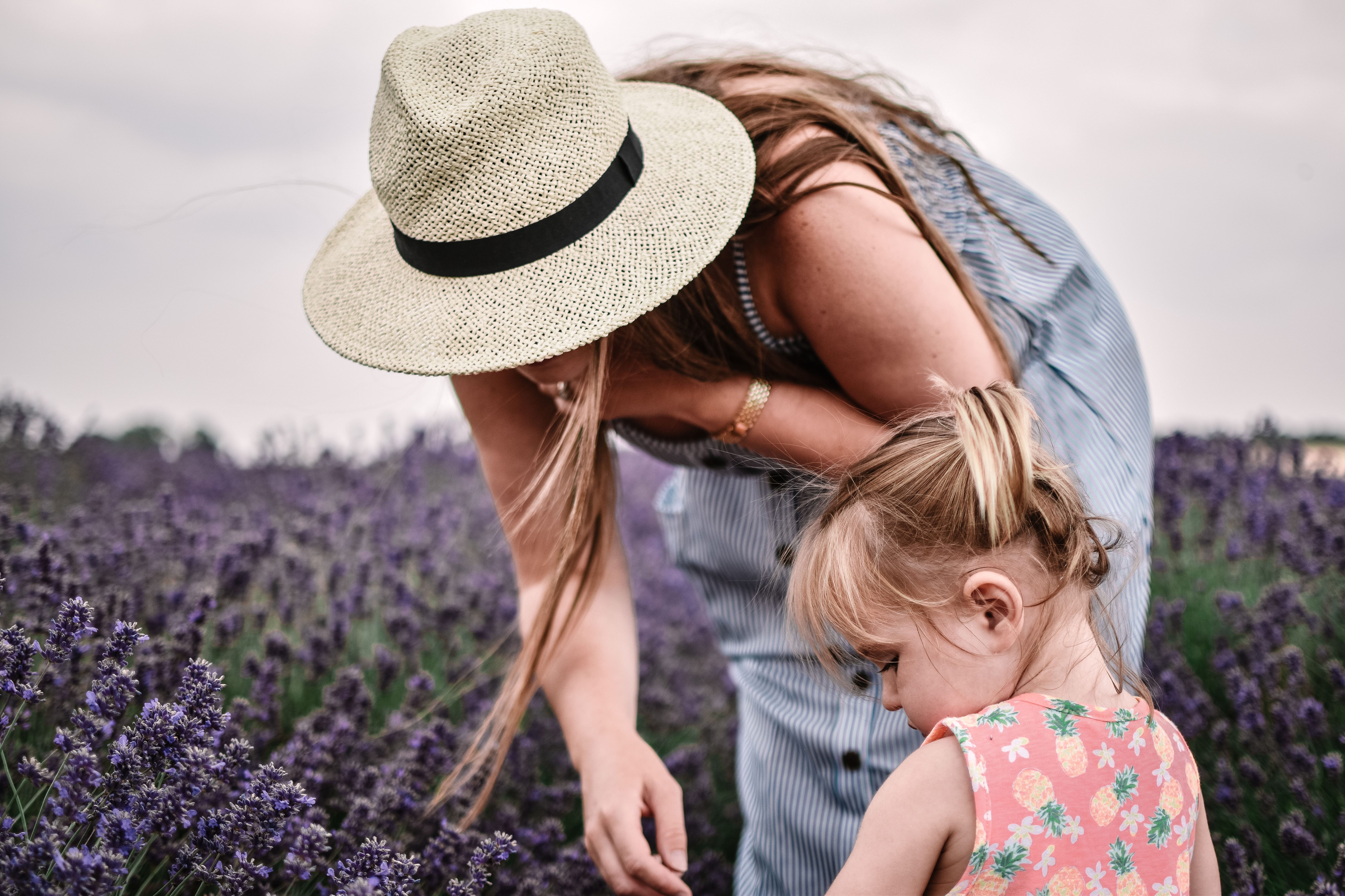 A Visit To Cotswold Lavender Field and Farm, England