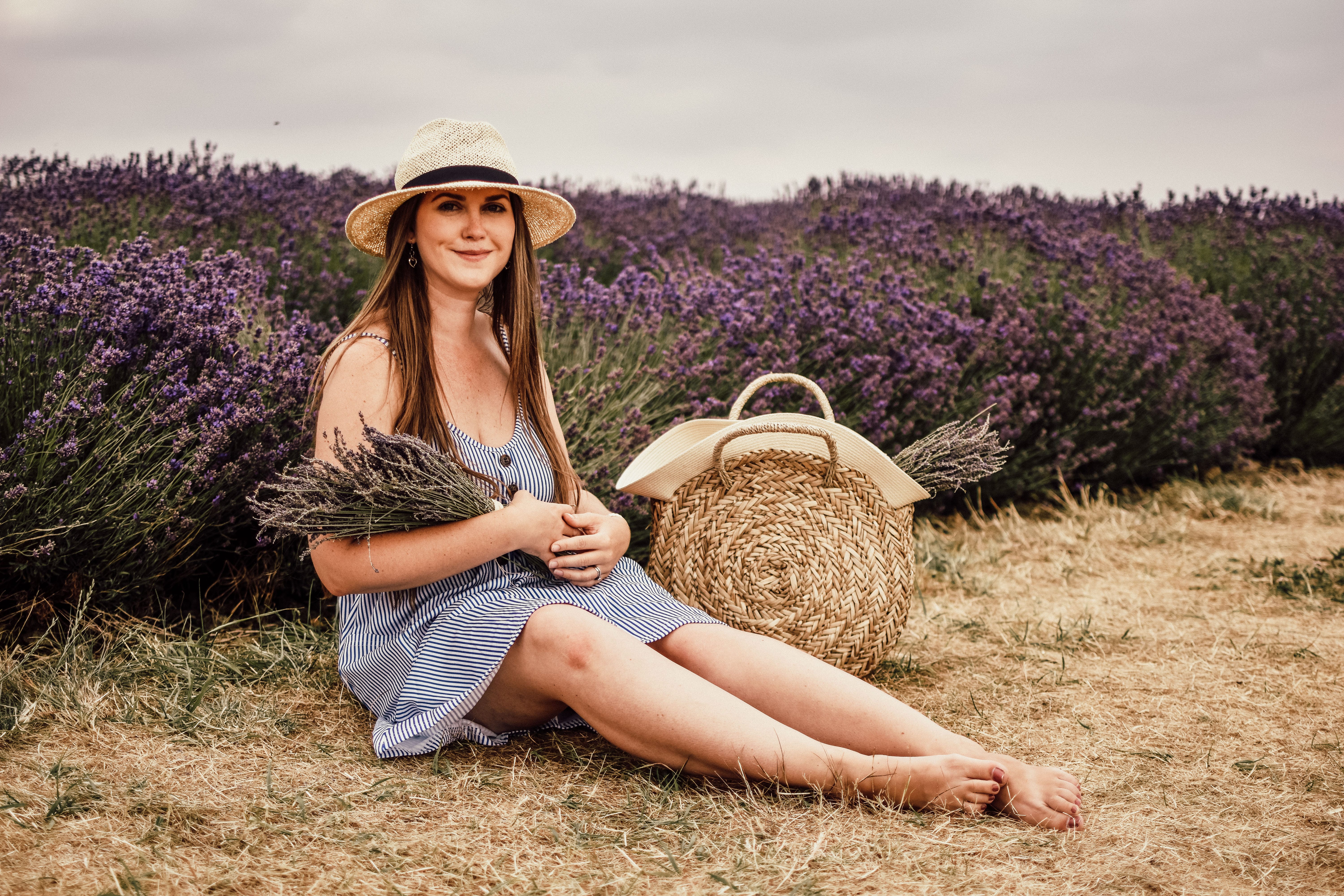 A Visit To Cotswold Lavender Field and Farm, England