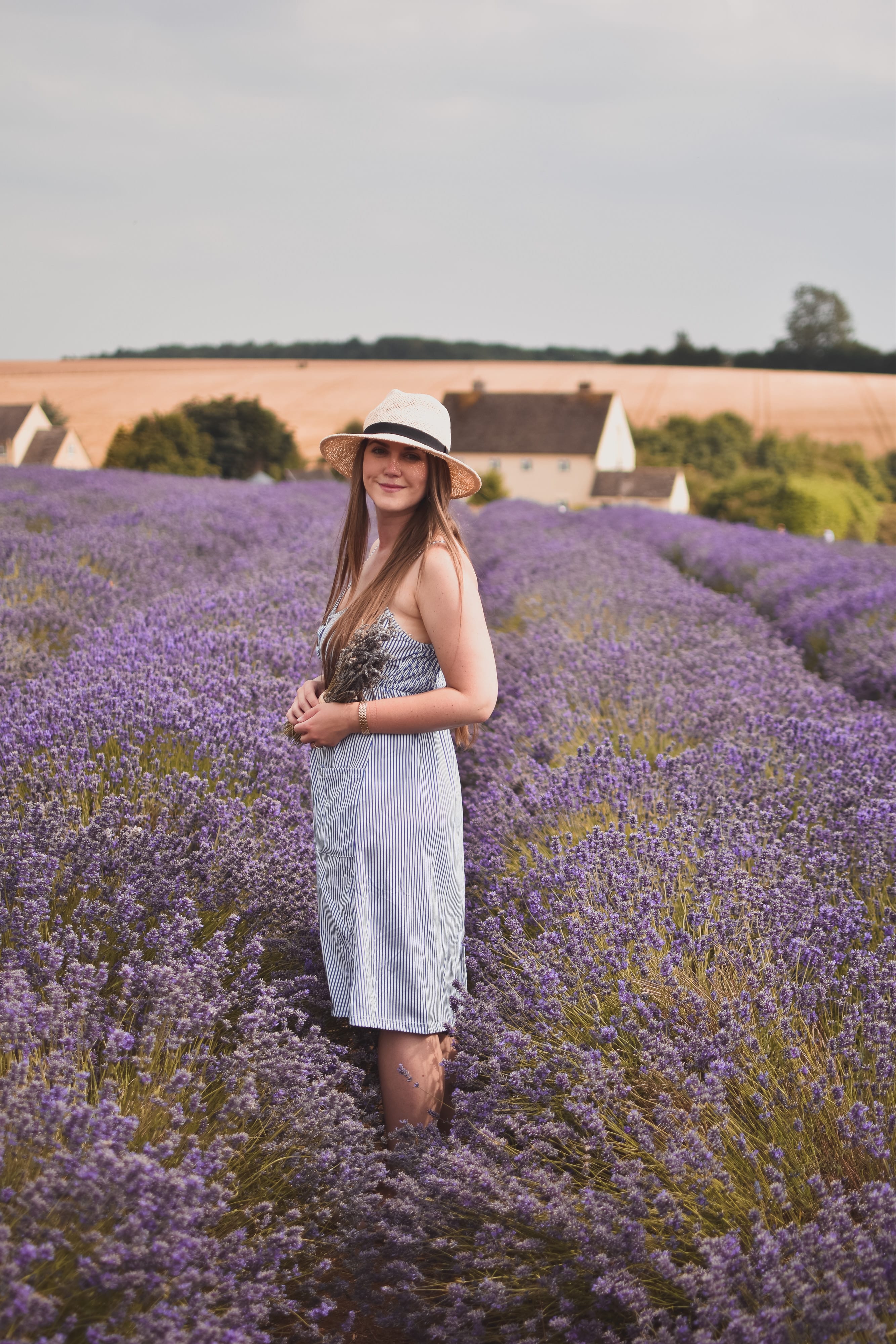 A Visit To Cotswold Lavender Field and Farm, England
