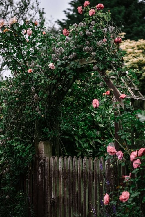 How To Spend 24 Hours In Rutland, England