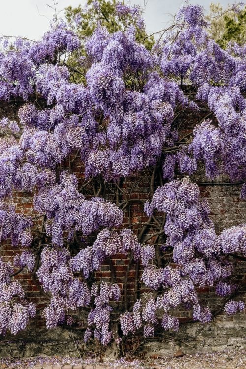 30 Of The Best National Trust Properties