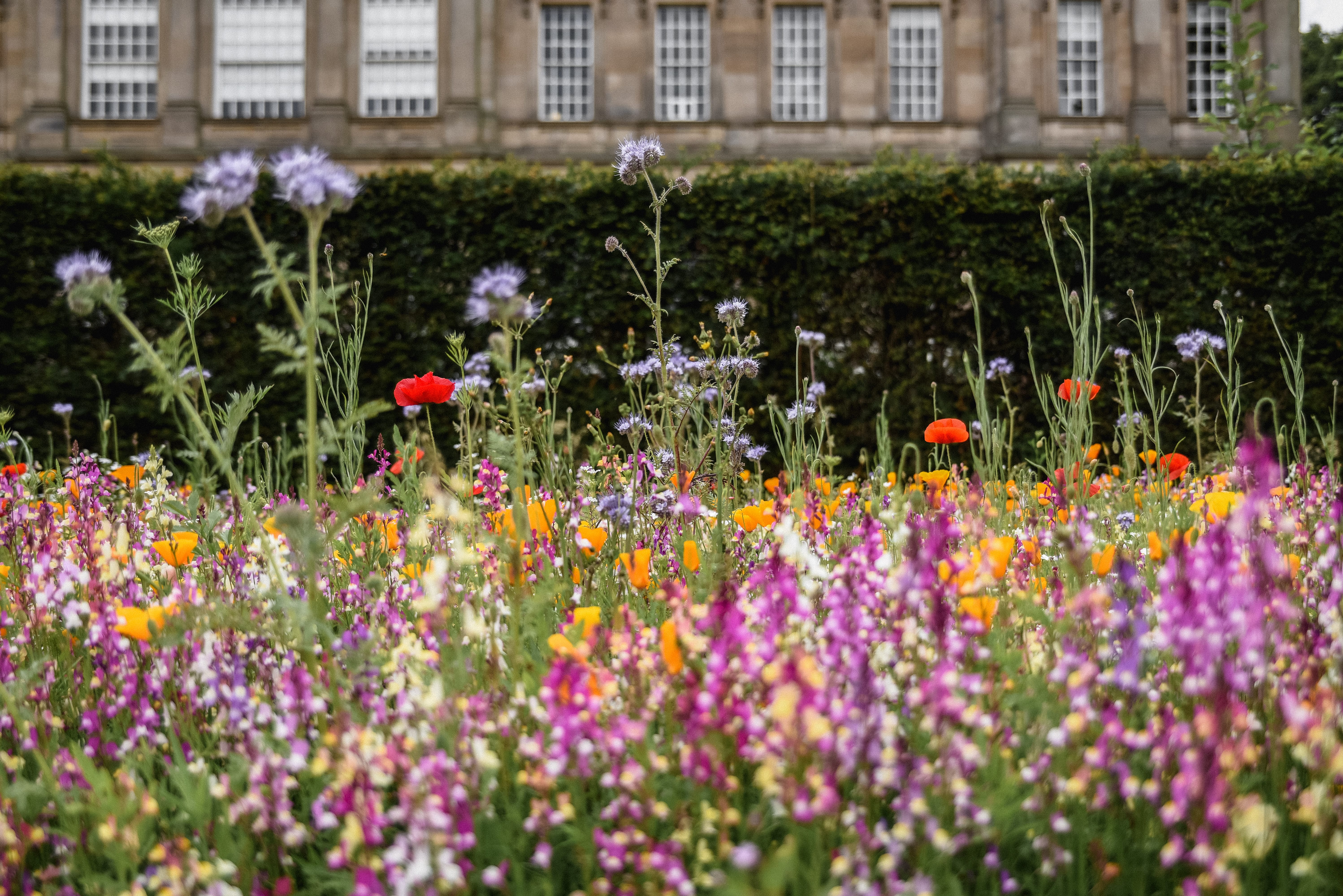 30 Of The Best National Trust Properties You Need To Visit In England