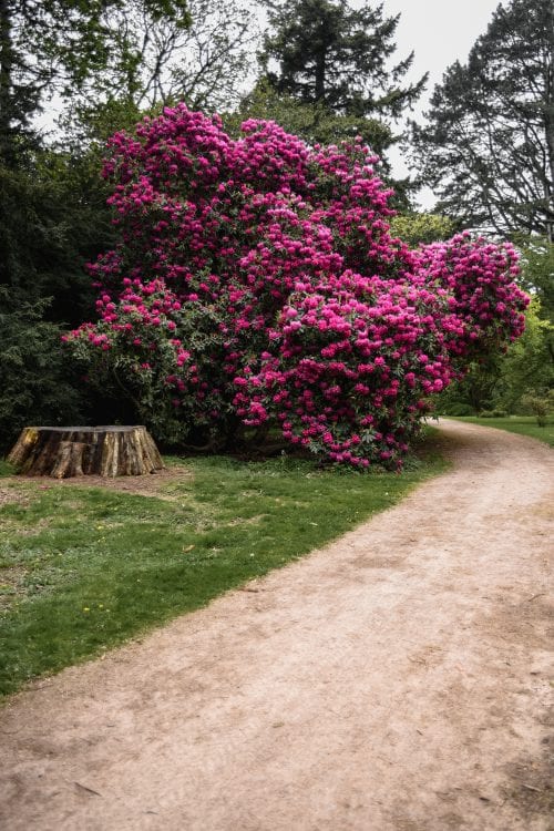 Vist Wiltshire Road Trip Itinerary