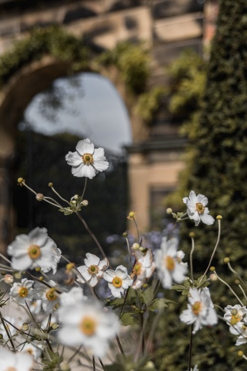 How To Spend 3 Days In Northumberland, England