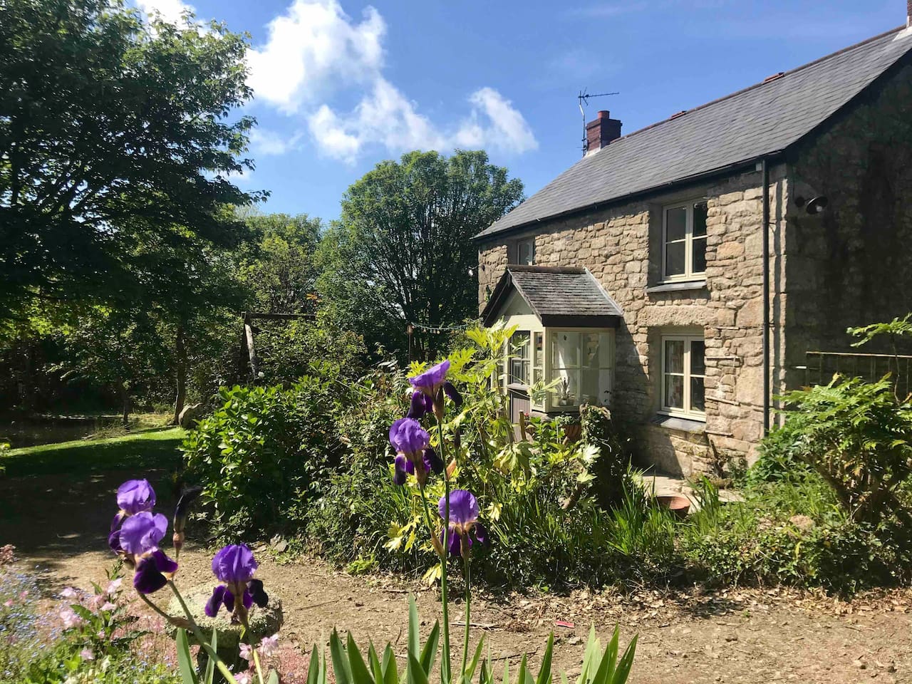 best airbnbs in cornwall, best airbnb in cornwall