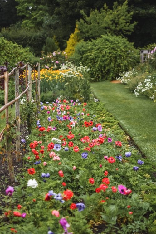 Easton Walled Gardens - Best Gardens In Lincolnshire
