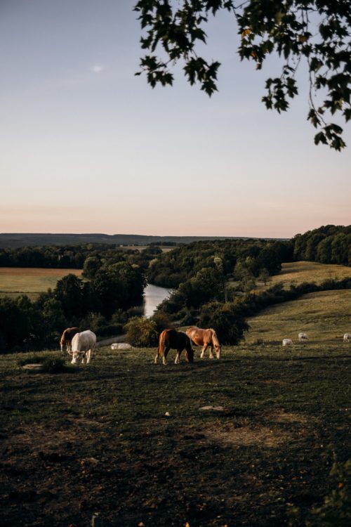 A Slow Travel Guide To The Ardennes, France