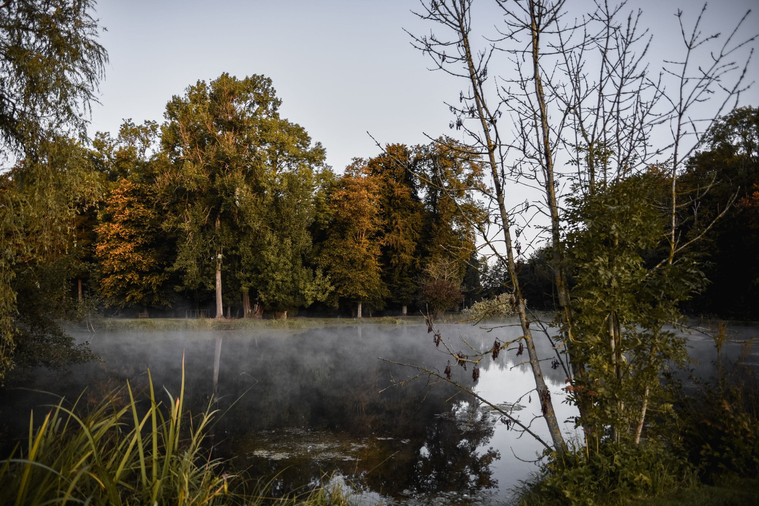 A Slow Travel Guide To The Ardennes France
