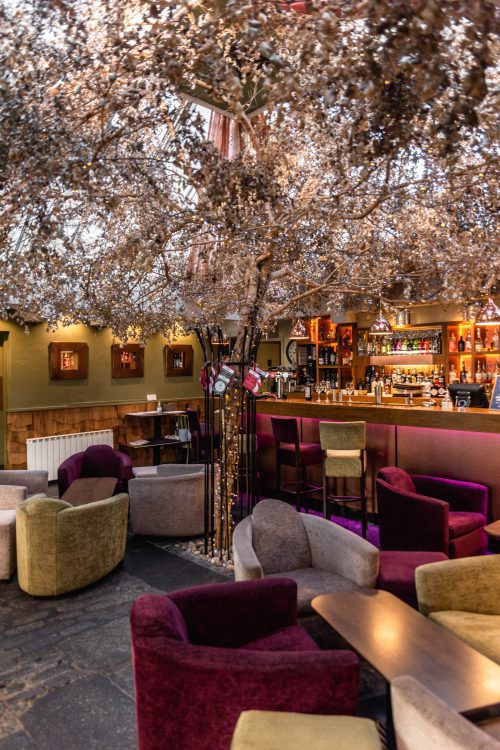 The Braided Fig Aberdeen