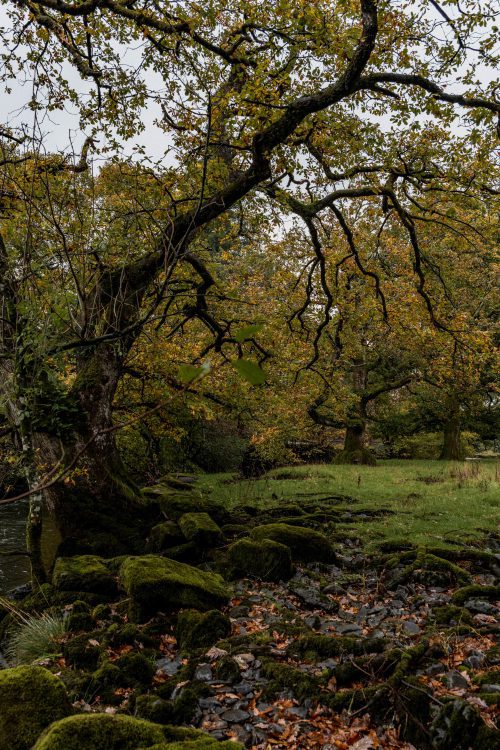 How To Spend A Weekend In The Lake District