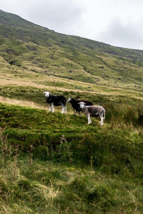 How To Spend A Weekend In The Lake District
