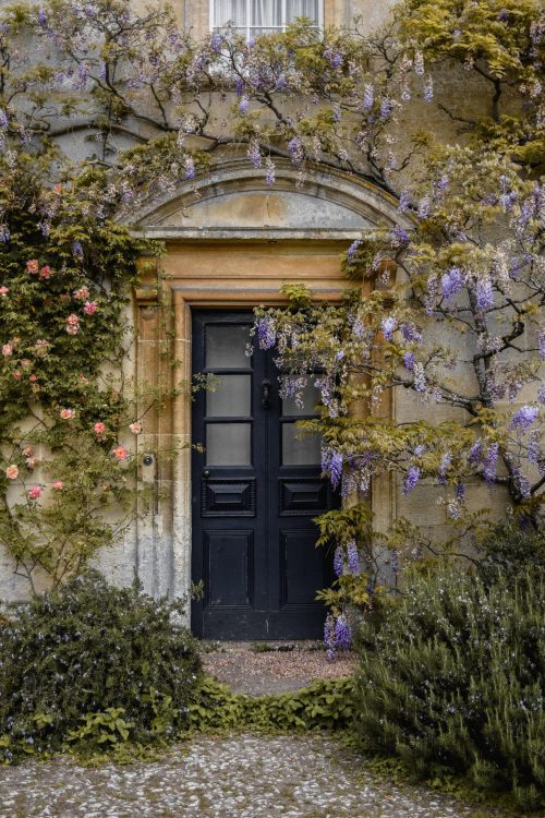Iford Manor Wisteria