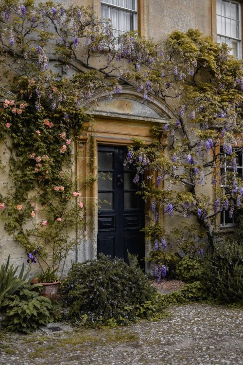 Iford Manor Wisteria